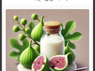 4https://wourki.ir/images/ads/2025/04/19/1745080918_small_small_small_medium.jpg